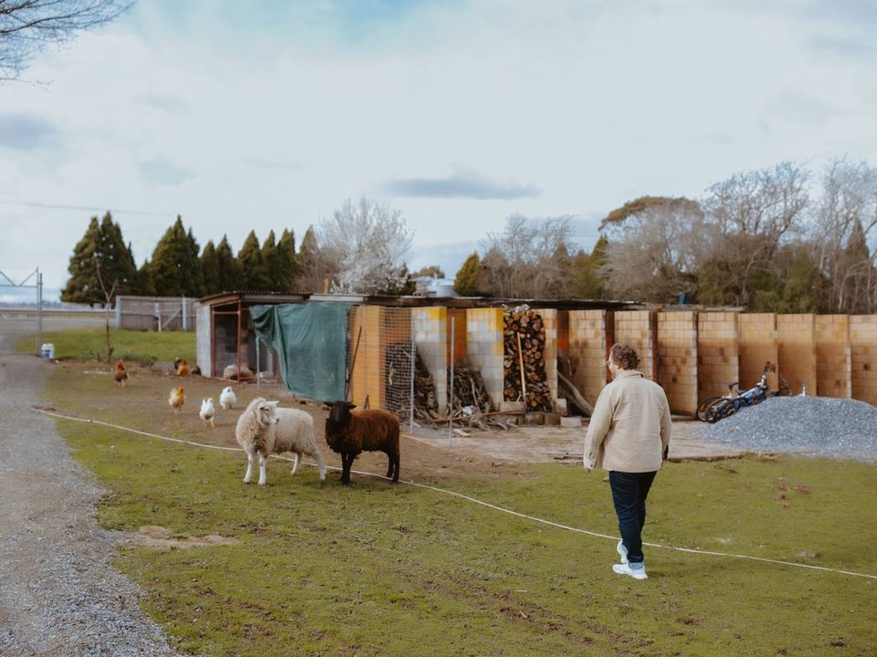 Story image 15